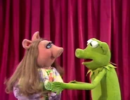 224 kermit pig