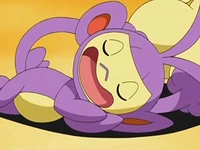 EP564 Ambipom dormido