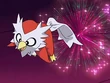 EP564 Delibird