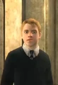 GoldStein.PNG