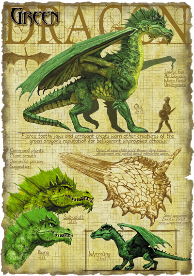 Green_dragon_anatomy_-_Richard_Sardinha.jpg