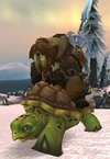 Kamagua Turtle Rider