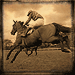 Standard 75x75 collect racehorse goldenmiller 01