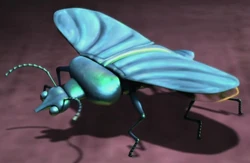 Slug-beetle2.jpg
