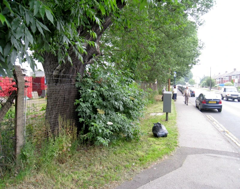 2009-06-27 Green Lane
