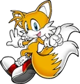 Tails 29