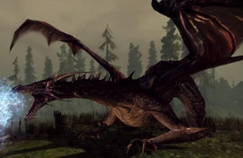 Dragons