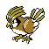 Pidgeotto oro variocolor