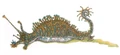 Granite Slug