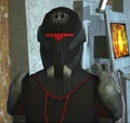 Levardio.jpg
