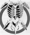 Bonearmor