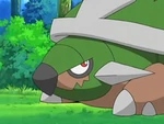 EP569 Torterra