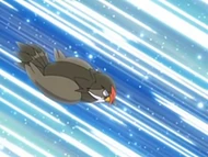 EP570 Staraptor usando placaje