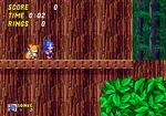 Deleted Wood Zone