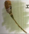 Air Racket