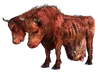 Brahmin FO3.png