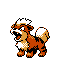 Growlithe cristal