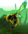 Gorishi Wasp