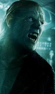 Greyback poster