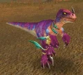 Sunscale Lashtail.jpg