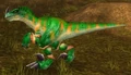 Mottled Scytheclaw.jpg