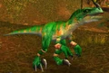 Young Jungle Stalker.jpg