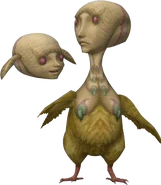 Oocca