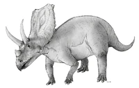 Sketch chasmosaurus