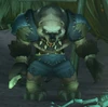 High Shaman Bloodpaw