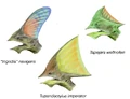 Tapejara heads BW.jpg