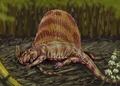 Dimetr incis22DB.jpg