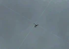 Sniper crows