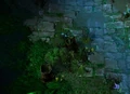 Boughs of Azshara.jpg