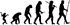 Human evolution scheme.svg.png