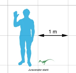 Borsti-scale.png