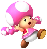 ToadetteMP8