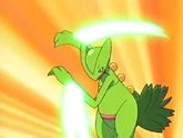 EP468 Sceptile usando hoja aguda