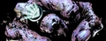 Black Lantern Ring 02