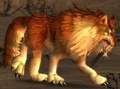 Ember Worg.jpg