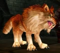 Scarshield Worg.jpg