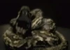Nagini HBP 1