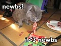 Bite the newbs.jpg