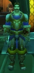 Chief Officer Leonards