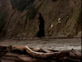 Arachne's cave