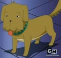 Pomade Ring Dog