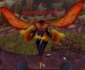 Ayamiss the Hunter.jpg