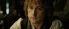 Pippin