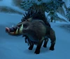 Elder Crag Boar