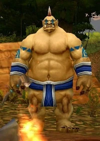 Mosh'Ogg Witch Doctor