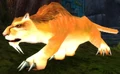 Amani Lynx Cub.jpg
